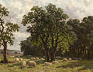 Sheep grazing in a summer landscape