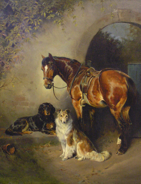 Horse and dogs