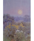 Beatrice-Parsons-Misty-dawn Beatrice-Parsons-Misty-dawn