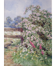 Beatrice-Emma-Parsons-watercolour-for-sale - Rose-Bush-by-a-Stile Beatrice-Emma-Parsons-watercolour-for-sale - Rose-Bush-by-a-Stile