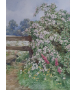 Beatrice_Emma_Parsons_watercolour_for_Sale - Rose Bush by a Stile Beatrice_Emma_Parsons_watercolour_for_Sale - Rose Bush by a Stile