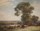 Landscape with Cattle.Owen Bowen Landscape with Cattle.Owen Bowen